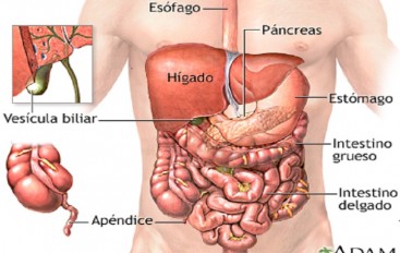 Dolor abdominal agudo